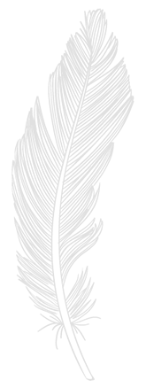 Footer Image